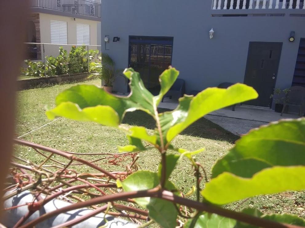 Labadie Apartment Aguadilla Eksteriør billede